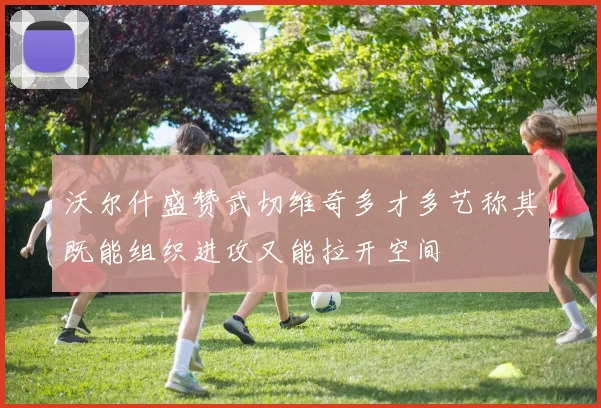 沃尔什盛赞武切维奇多才多艺称其既能组织进攻又能拉开空间